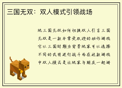 三国无双：双人模式引领战场